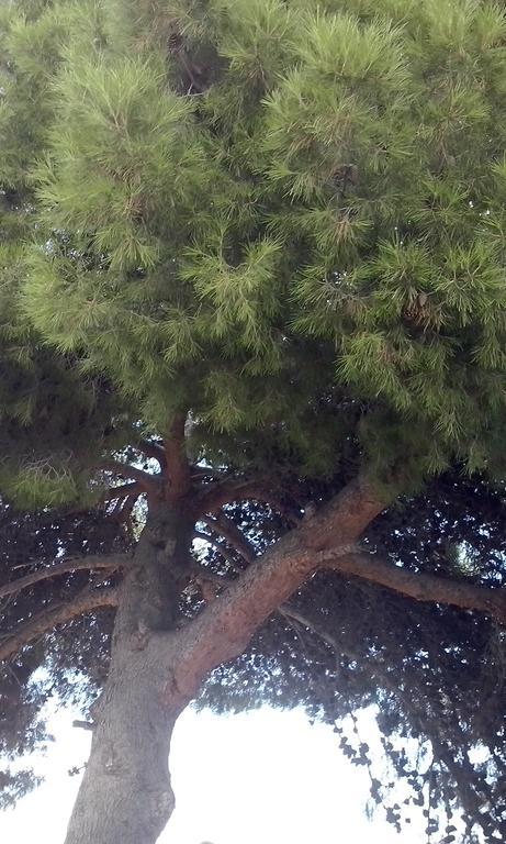 Huerta La Nina Arenas Villa Orgiva Bilik gambar